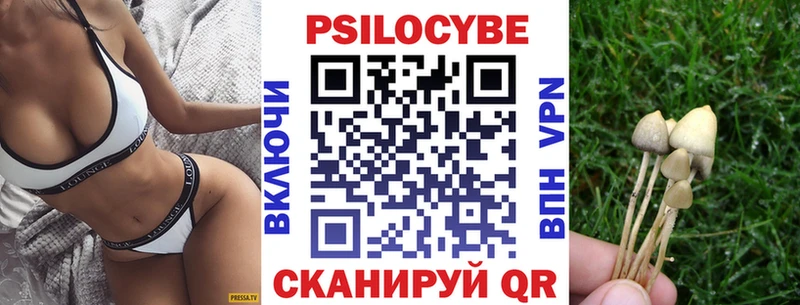 Галлюциногенные грибы Cubensis где купить наркотик Нижневартовск
